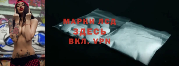 apvp Вяземский